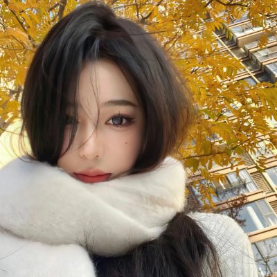 聪明的鸭子